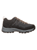 Icepeak Trekkingschuhe in Grau