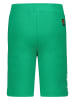 Tygo & Vito Sweatshorts in Grün