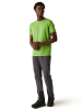 Regatta Shirt "Tait" in Grün
