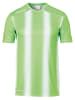 uhlsport Trainingsshirt "Stripe 2.0" groen/wit