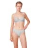Triumph Slip "Modern Finesse Tai" in Grau