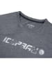 Icepeak Functioneel shirt "Leadville" grijs