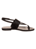 Calvin Klein Leder-Zehensandalen in Schwarz