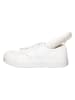 Calvin Klein Leren sneakers wit