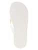 Tommy Hilfiger Shoes Zehentrenner in Creme