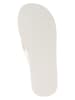 Tommy Hilfiger Shoes Zehentrenner in Creme