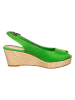 Tommy Hilfiger Shoes Sandaletten in Grün