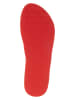 Tommy Hilfiger Shoes Zehentrenner in Rot