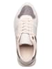 Tommy Hilfiger Shoes Leder-Sneakers in Grau/ Rosa