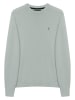 Polo Club Pullover in Grün