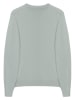 Polo Club Pullover in Grün