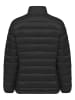 Polo Club Steppjacke "Costa" in Schwarz