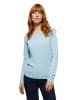 Polo Club Pullover "Rigby Go" in Hellblau