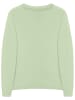 Polo Club Pullover "Rigby Go" in Grün