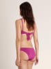 admas Bikini in Lila