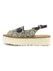 Calceo Sandaletten in Beige
