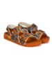 Calceo Sandalen meerkleurig/oranje