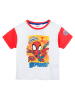 Spiderman Shirt "Spidey & his amazing friends" in Weiß/ Rot/ Bunt