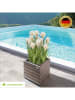 Gartenfreude Plantenbak "Antigua" donkergrijs - (B)33 x (H)32 x (D)33 cm