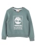 Timberland Sweatshirt in Blau