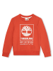 Timberland Bluza w kolorze czerwonym
