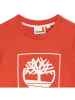 Timberland Bluza w kolorze czerwonym
