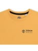 Timberland Shirt in Orange