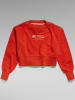 G-Star Sweatshirt rood