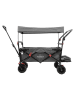 Fuxtec Strand-Bollerwagen "FX-CTB800" in Grau