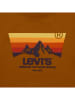 Levi's Kids Shirt in Hellbraun