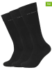 Skechers Skarpety (3 pary) w kolorze czarnym