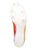 New Balance Hardloopschoenen "v8 Spikes" meerkleurig
