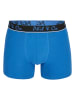 Phil & Co. Berlin 8er-Set: Boxershorts in Bunt