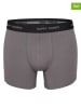 Happy Shorts 3er-Set: Boxershorts in Grau/ Schwarz/ Blau