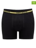 Happy Shorts 7er-Set: Boxershorts in Bunt/ Schwarz