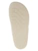 Crocs Zehentrenner "Splash" in Creme