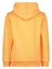 Vingino Hoodie in Orange