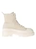 Tommy Hilfiger Shoes Boots in Beige