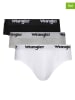 Wrangler 3er-Set: Slips "Norrie" in Schwarz/ Weiß/ Grau