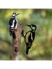 HanahHome Dekoracja ogrodowa "Bird in the branch" w kolorze czarnym - 18 x 30 cm
