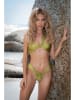 Chiwitt Biustonosz bikini w kolorze khaki