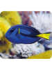 moses. 2-delige set: projectorzaklampen "Zeedieren" blauw - vanaf 3 jaar