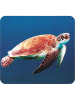 moses. 2-delige set: projectorzaklampen "Zeedieren" blauw - vanaf 3 jaar