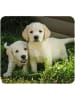 moses. 2-delige set: projectorzaklamp "Babydieren" groen - vanaf 3 jaar