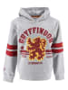 Harry Potter Bluza "Harry Potter" w kolorze szaro-bordowym