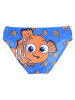 Finding Nemo Kąpielówki "Nemo" w kolorze pomarańczowo-niebieskim