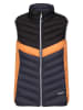 Regatta Doorgestikte bodywarmer "Harrock" meerkleurig