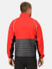 Regatta 2in1-Hybridjacke "Steren" in Rot/ Grau