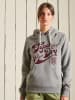 Superdry Hoodie in Grau
