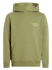 Calvin Klein Hoodie in Grün